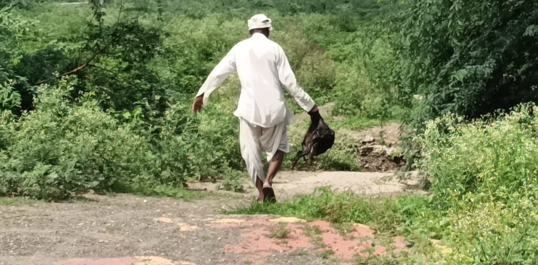 अंगणवाडी