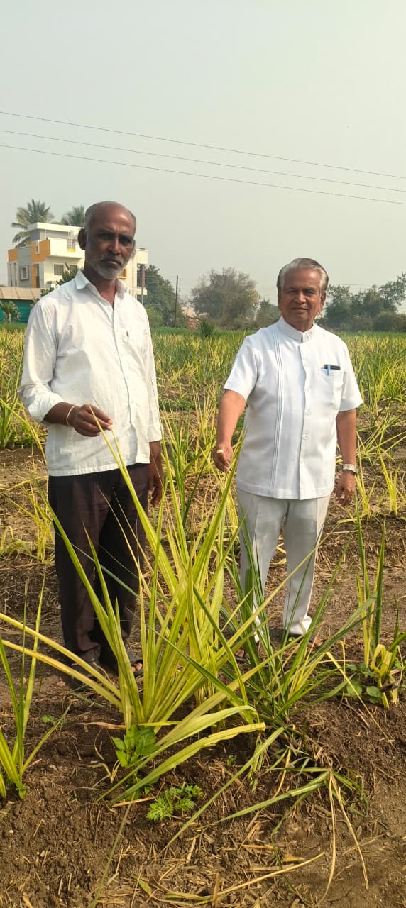 अशोकराव ढगे