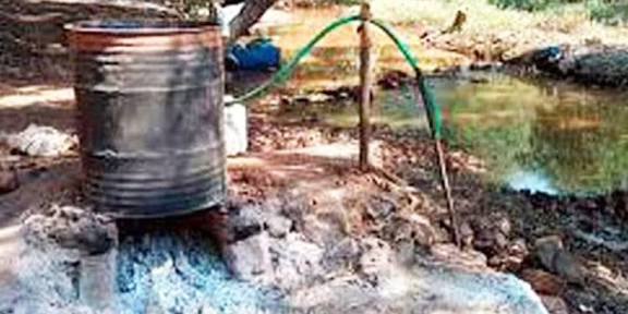 गावठी दारू