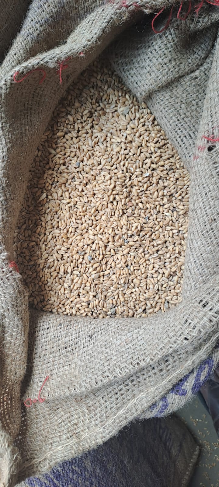 भास्करगिरी महाराज