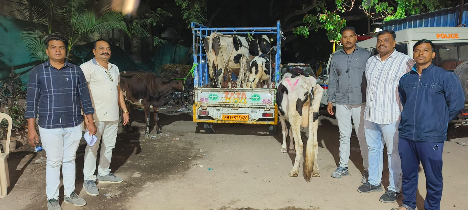 गोवंशीय