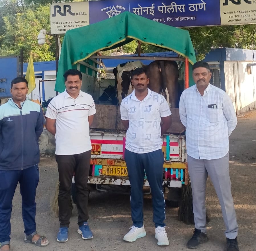 जनावर