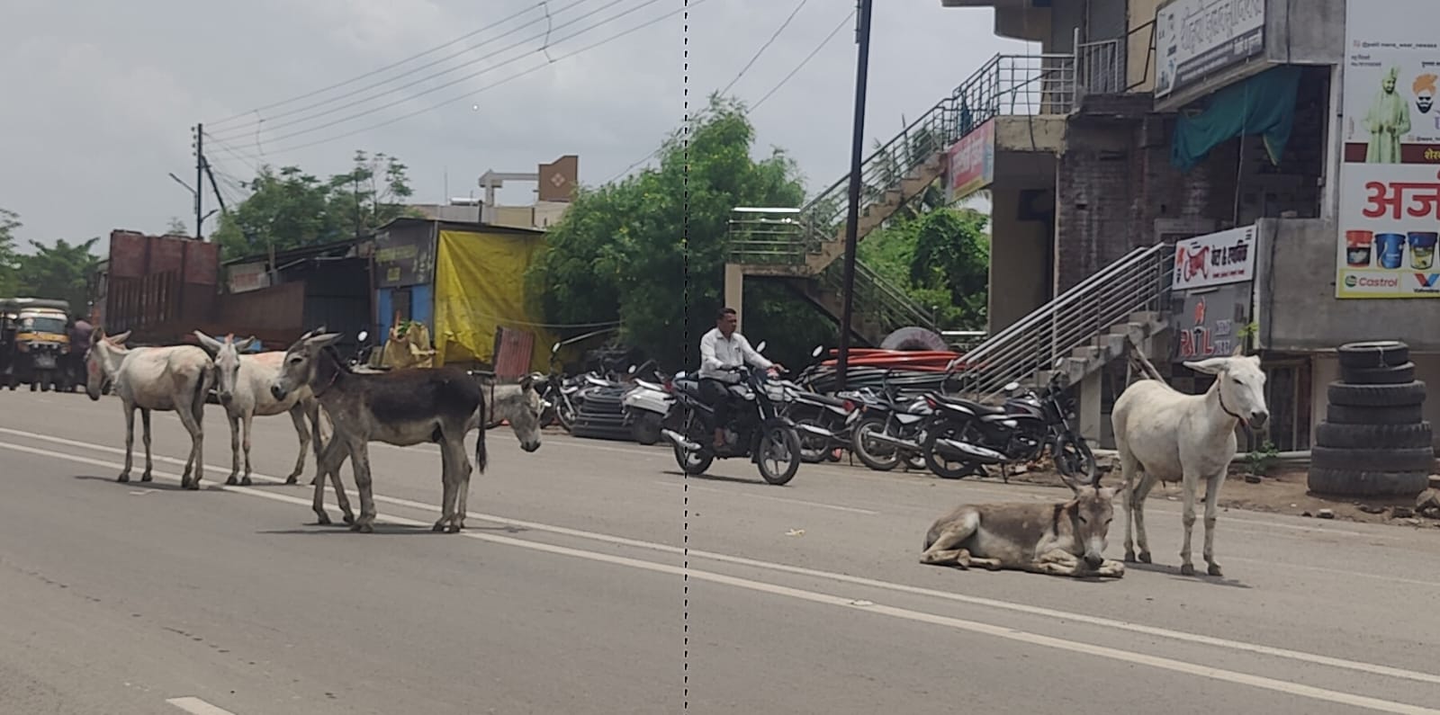 सर्वसाधारण सभ