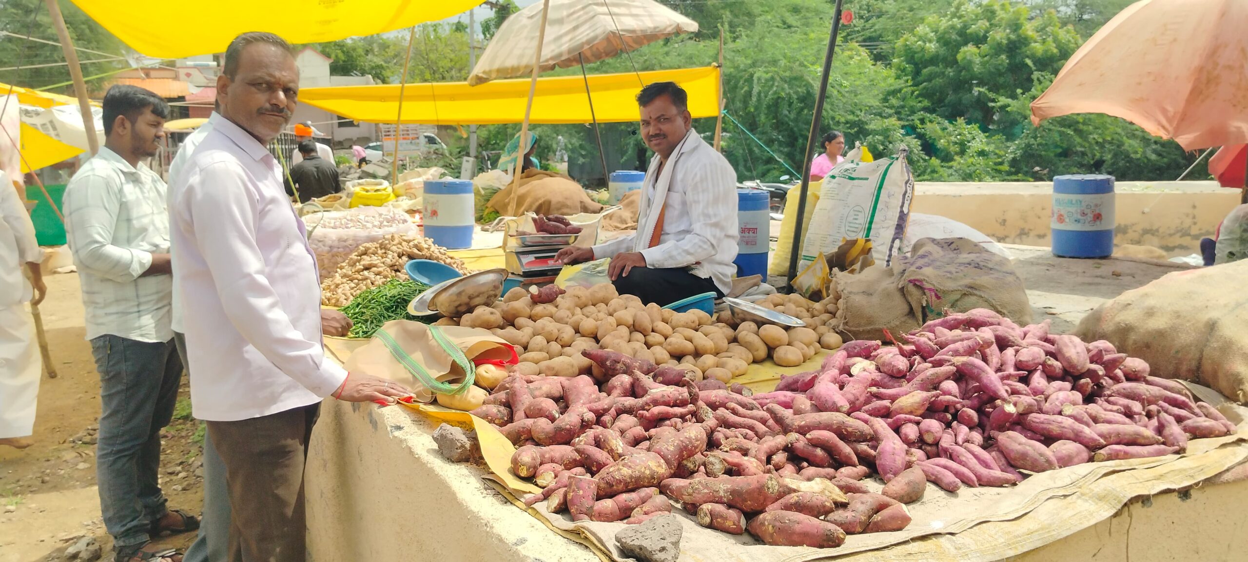 आषाढी एकादशी