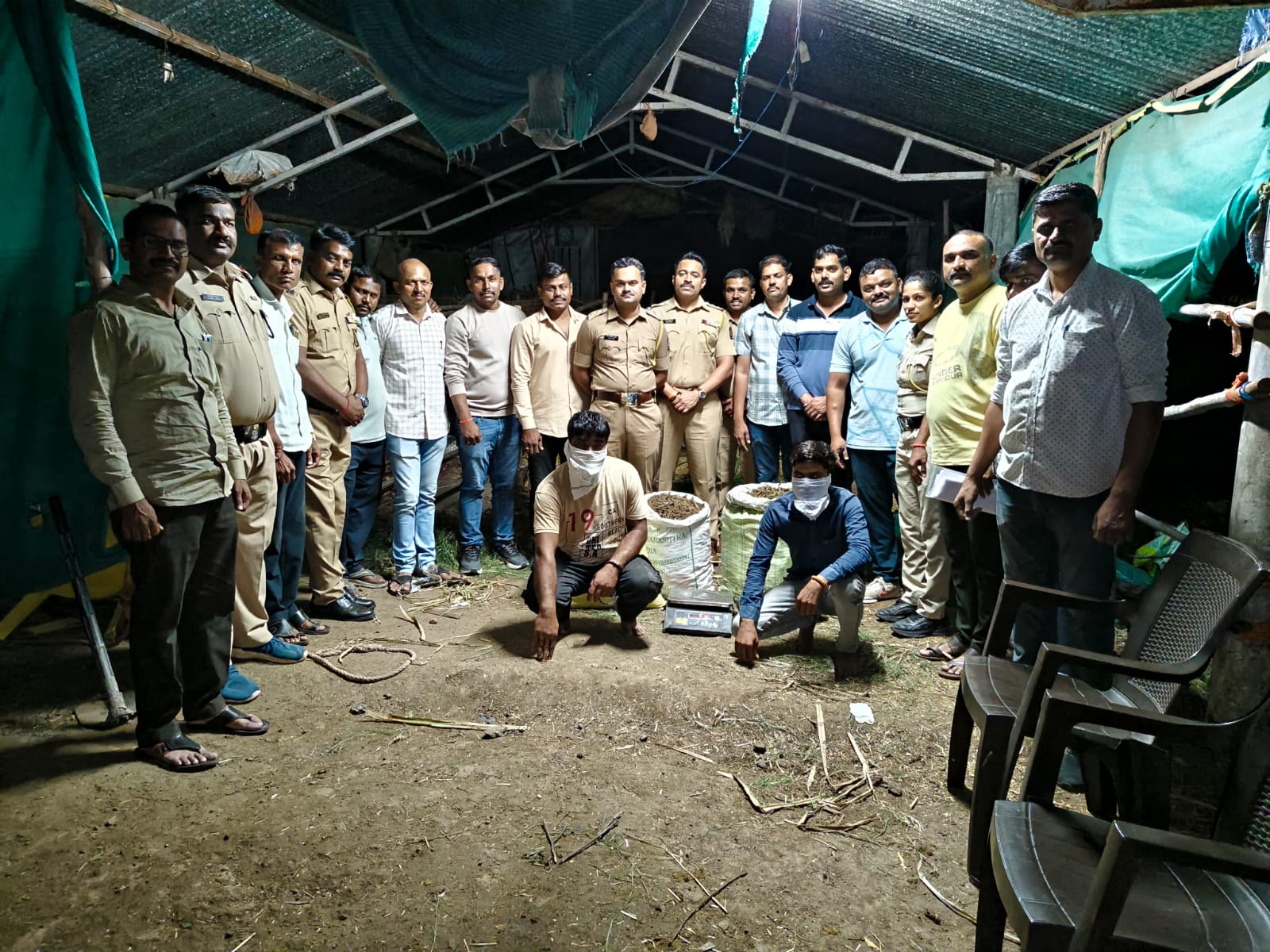 गांजा