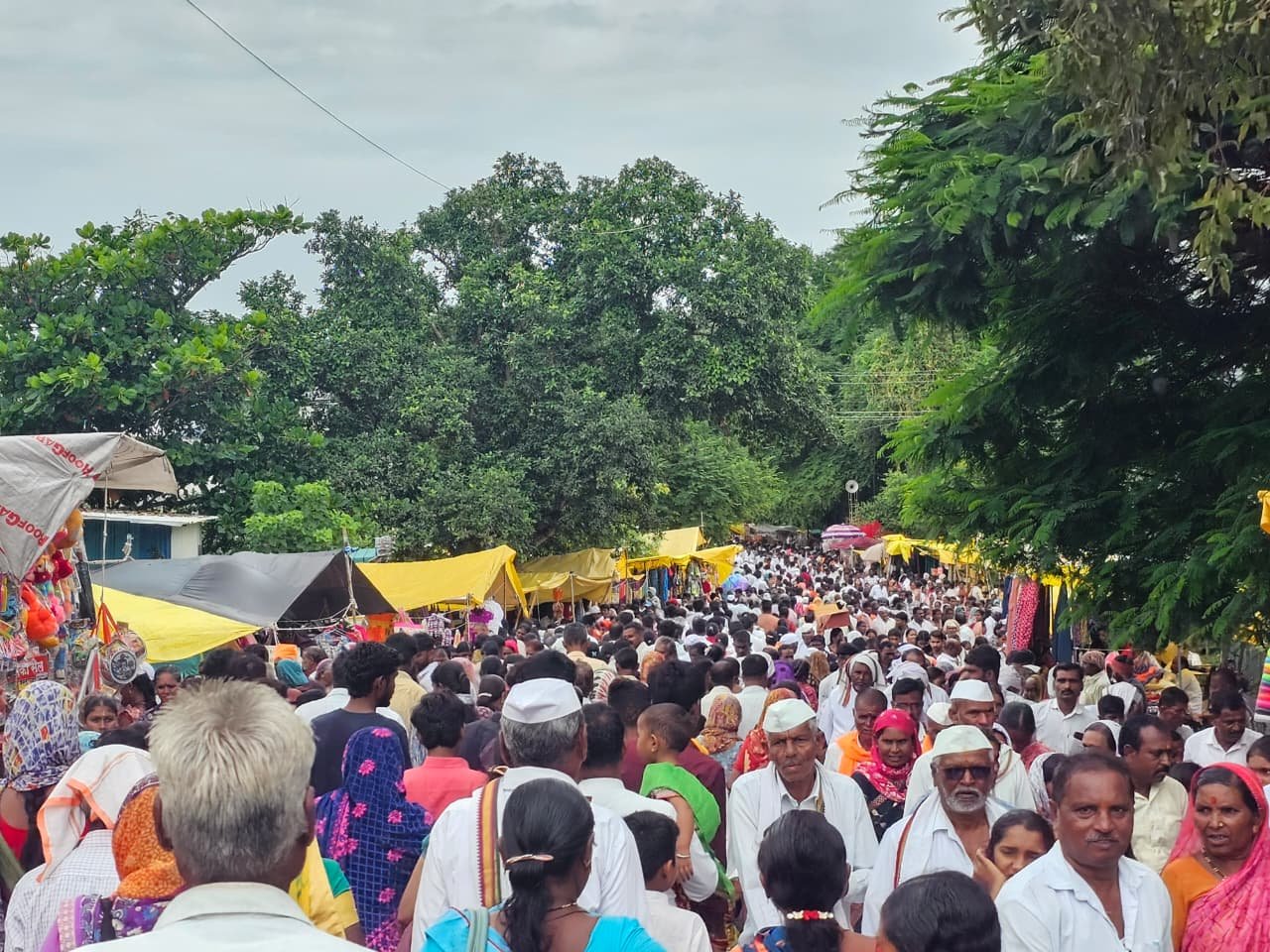 कामिका एकादशी
