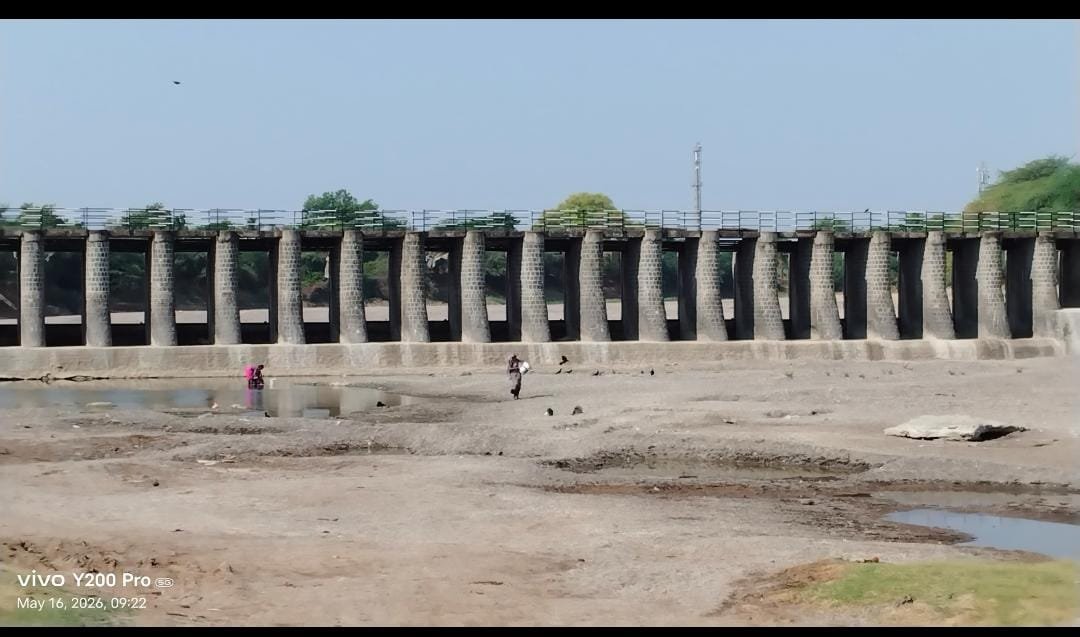 मुळा